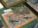 DSCF3398.JPG