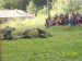 Obrázok 015.jpg